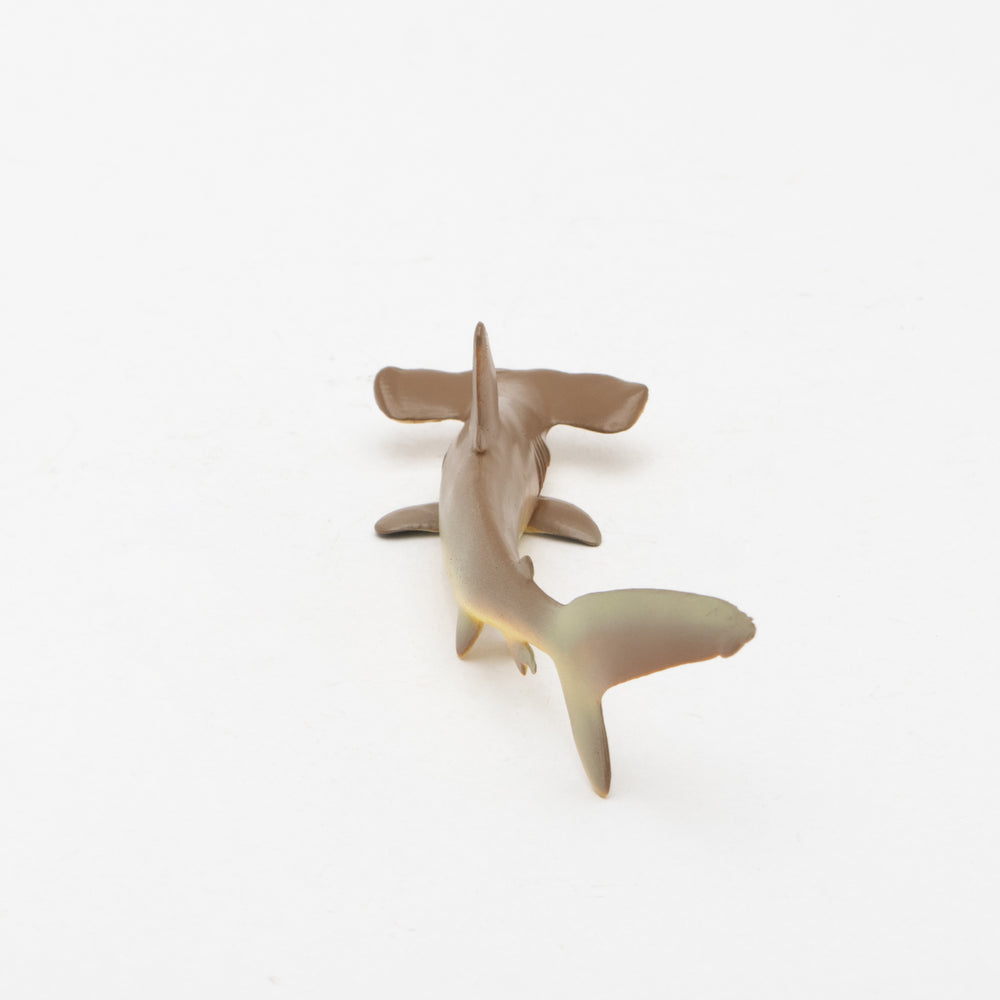 
                  
                    Load image into Gallery viewer, Scalloped Hammerhead Soft Model
                  
                