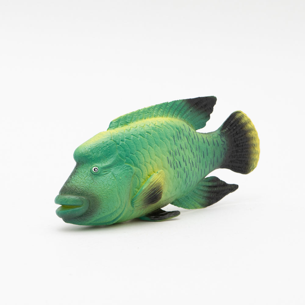 
                  
                    Load image into Gallery viewer, Humpback Wrasse Soft Model
                  
                