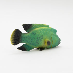 
                  
                    Load image into Gallery viewer, Humpback Wrasse Soft Model
                  
                