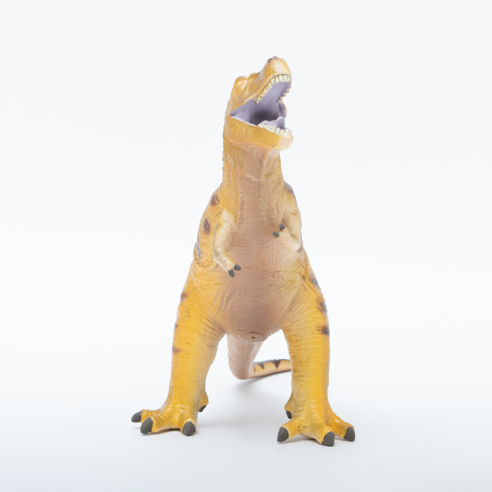 
                  
                    Load image into Gallery viewer, Tyrannosaurus Vinyl Model
                  
                