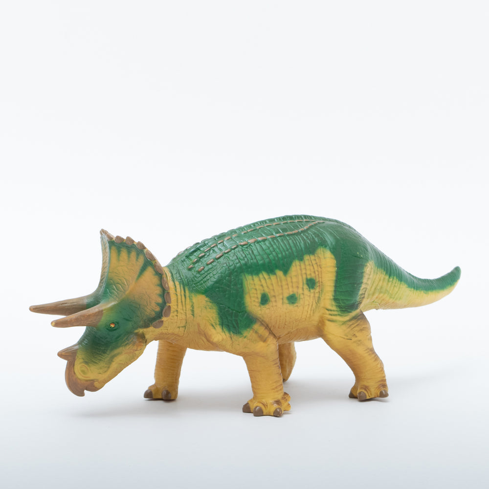 DINOSAUR | 恐竜