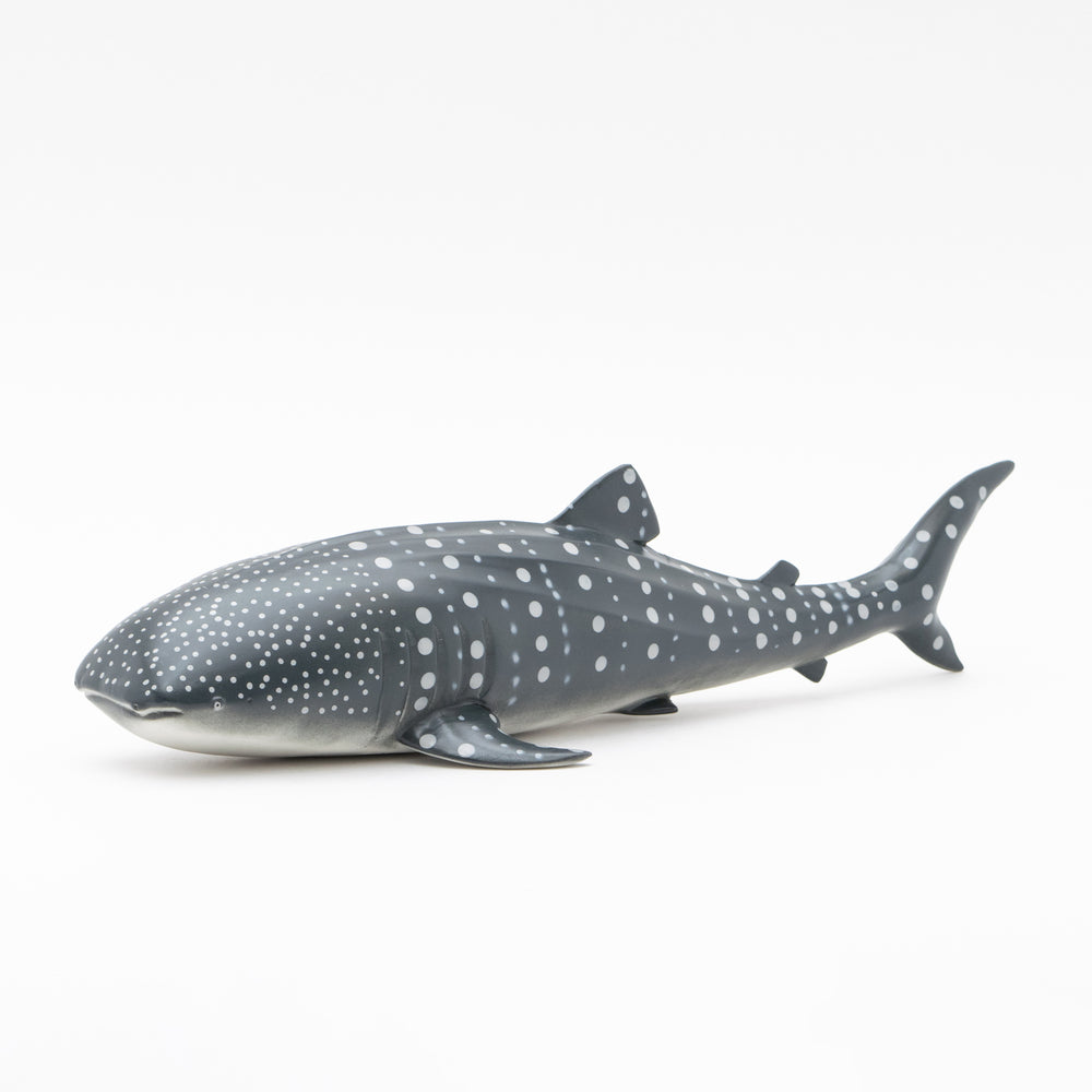 Whale Shark Vinyl Model
