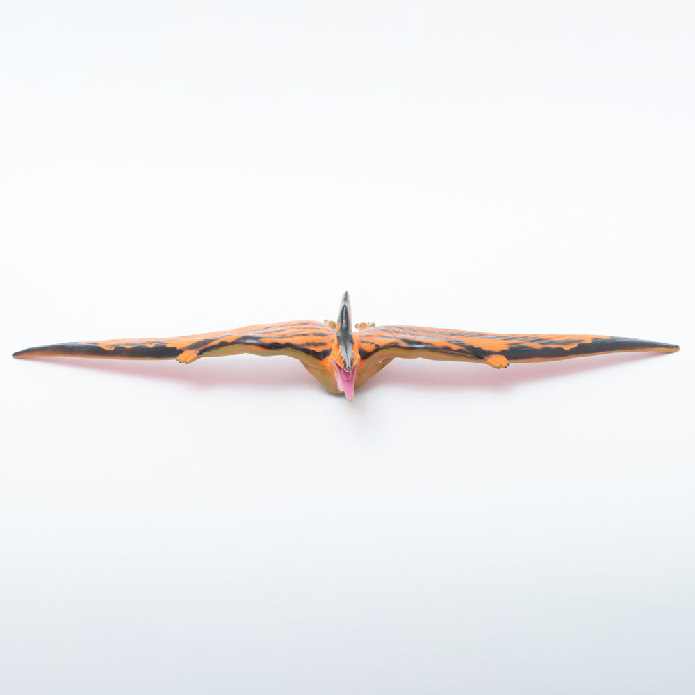 
                  
                    Load image into Gallery viewer, Pteranodon Vinyl Model
                  
                