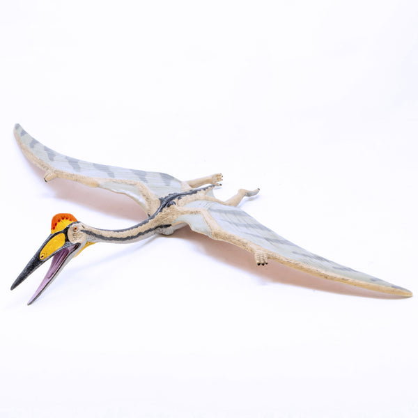 木彫　翼竜　ケツァルコアトルス　1/10スケール　翼開長105㎝ 木彫 翼竜 ケツァルコアトルス 1/10スケール 翼開長105㎝ 生き物