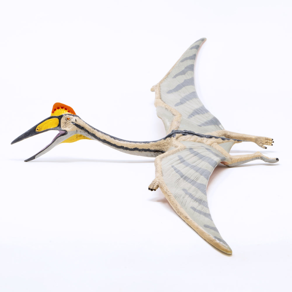 
                  
                    Load image into Gallery viewer, Quetzalcoatlus Vinyl Model
                  
                
