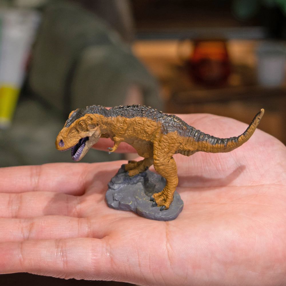 
                  
                    Load image into Gallery viewer, Tyrannosaurus Mini Model
                  
                