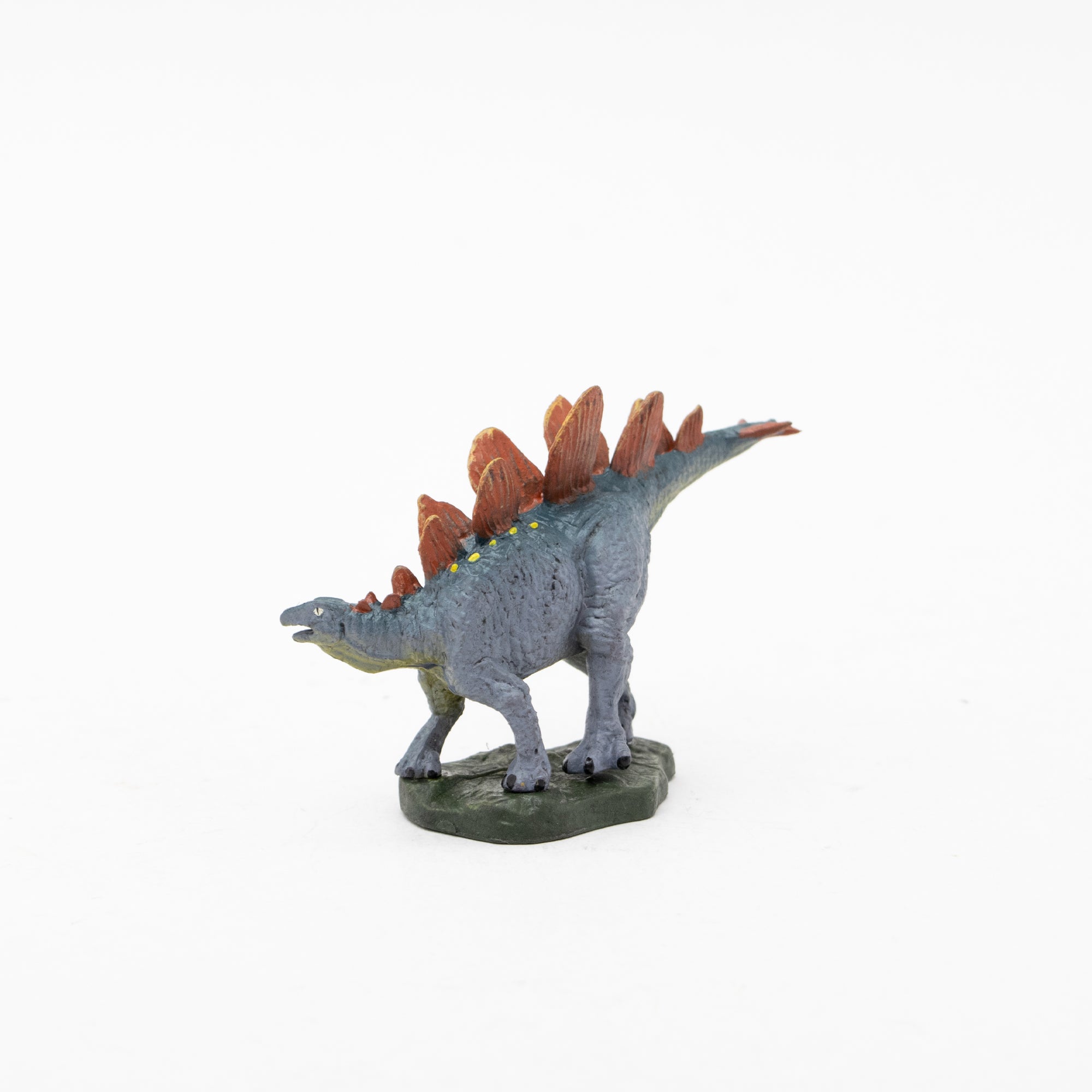 Favorite - 恐竜 ステゴサウルス 「フェバリットコレクション」 1/15 スケルトンモデル Favorite - 恐竜 ステゴサウルス 「フェバリットコレクション