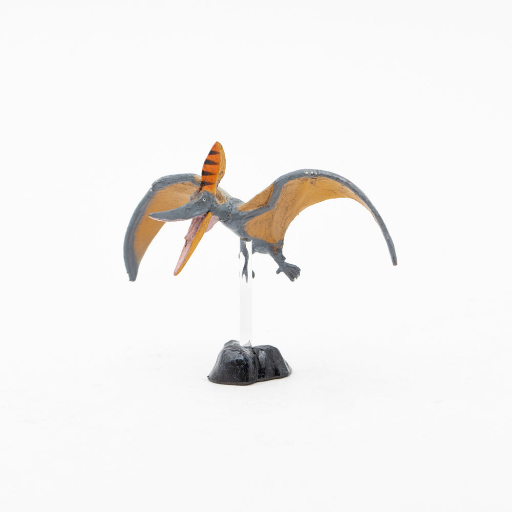 Pteranodon Mini Model