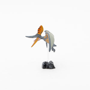 
                  
                    Load image into Gallery viewer, Pteranodon Mini Model
                  
                