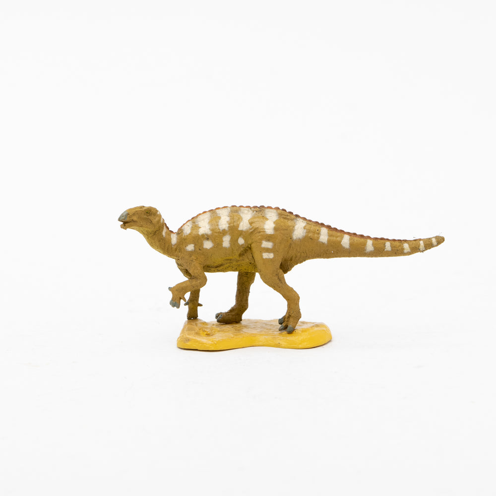 
                  
                    Load image into Gallery viewer, Koshisaurus Mini Model
                  
                