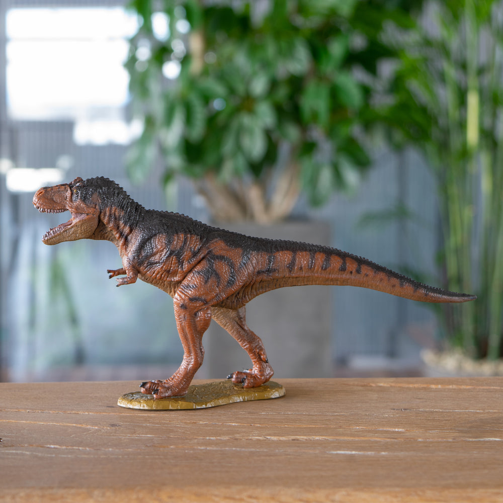 ティラノサウルス ソフトモデル(FDW-001) i8my1cf