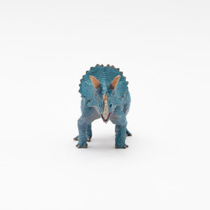 
                  
                    Load image into Gallery viewer, Triceratops Soft Model
                  
                