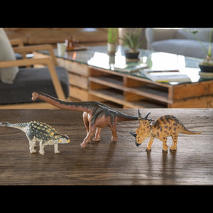 
                  
                    Load image into Gallery viewer, Ankylosaurus Soft Model
                  
                