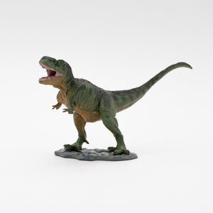 
                  
                    Load image into Gallery viewer, Fetherd T-rex Soft Model
                  
                