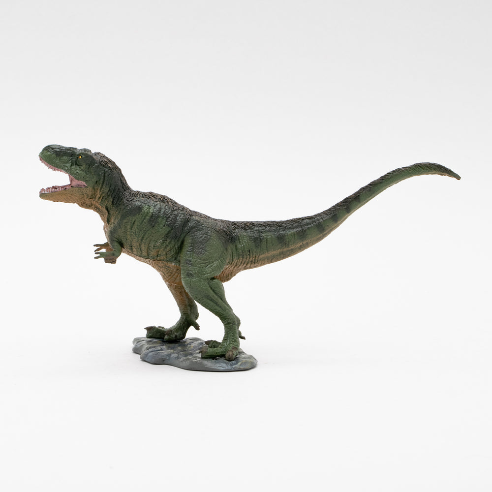 
                  
                    Load image into Gallery viewer, Fetherd T-rex Soft Model
                  
                