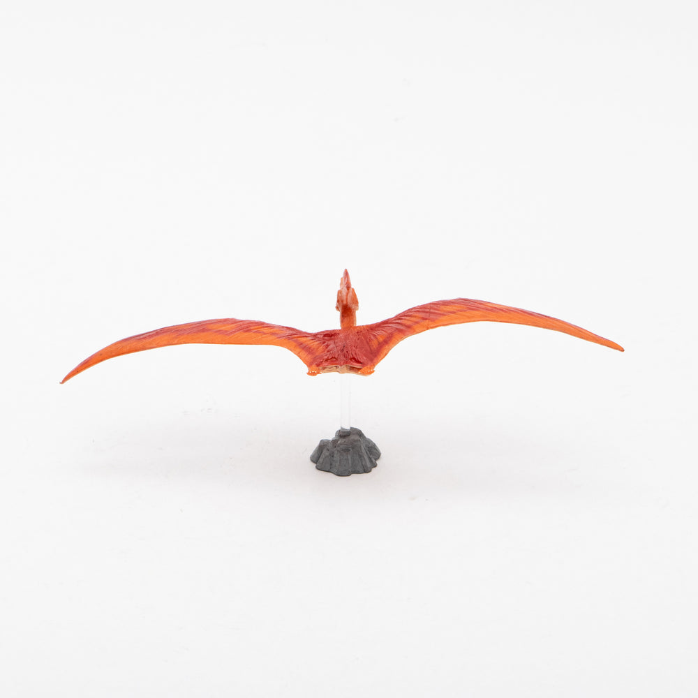 
                  
                    Load image into Gallery viewer, Pteranodon Soft Model
                  
                