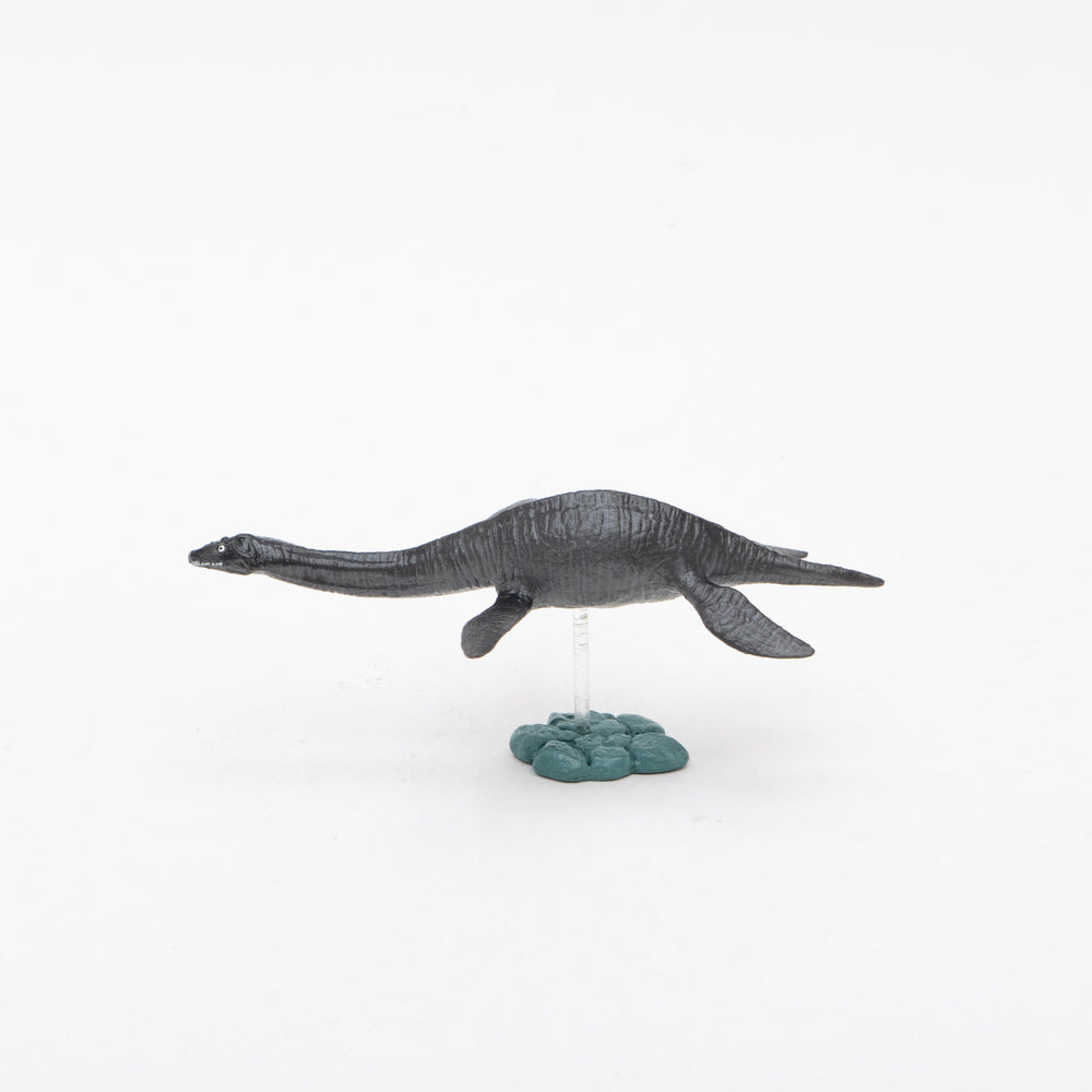 
                  
                    Load image into Gallery viewer, Plesiosaurus Soft Model
                  
                