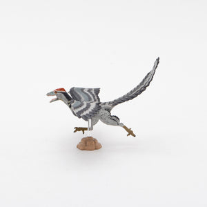 
                  
                    Load image into Gallery viewer, Archaeopteryx Soft Model
                  
                