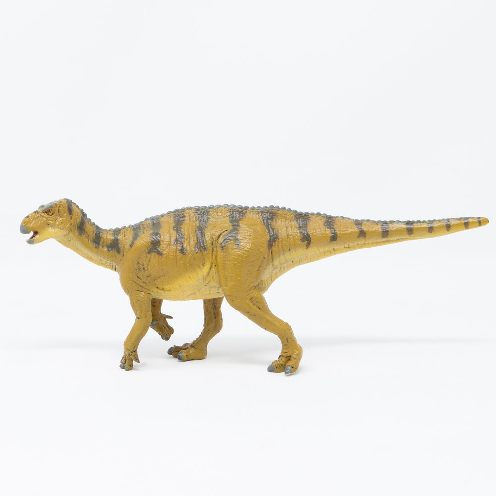 
                  
                    Load image into Gallery viewer, Iguanodon Soft Model
                  
                