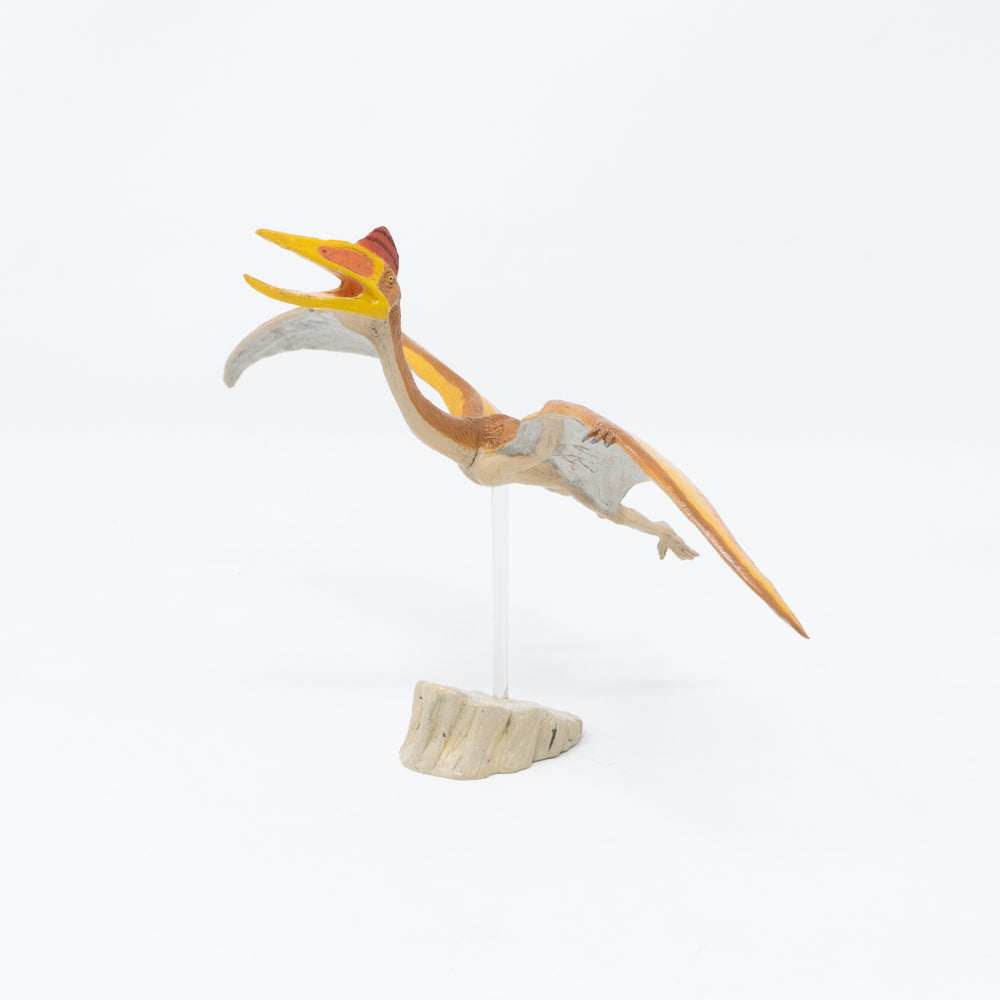 Quetzalcoatlus Soft Model