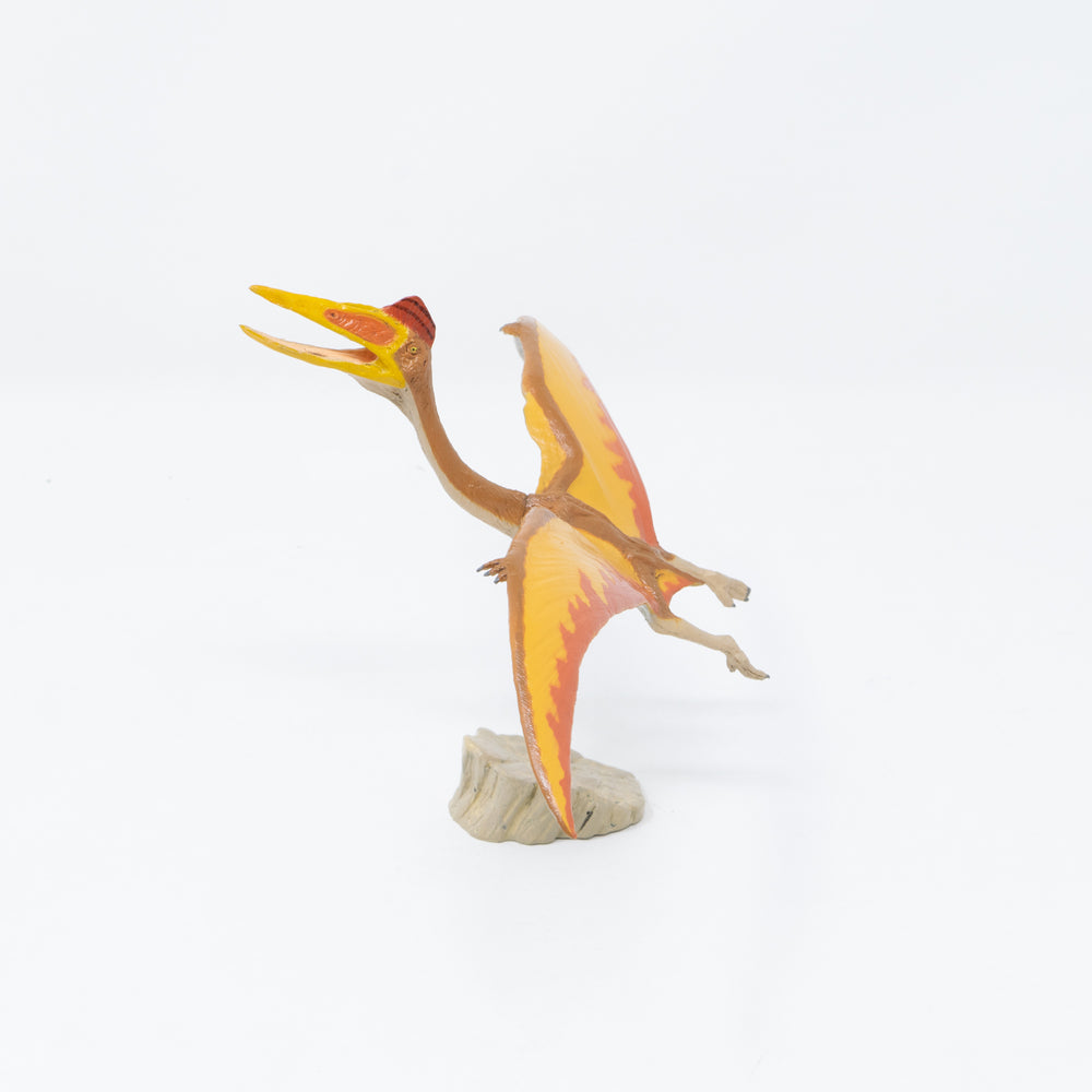 
                  
                    Load image into Gallery viewer, Quetzalcoatlus Soft Model
                  
                