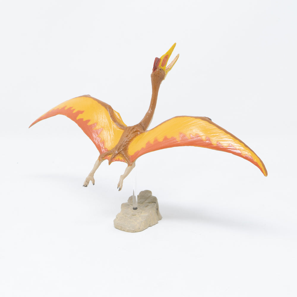 
                  
                    Load image into Gallery viewer, Quetzalcoatlus Soft Model
                  
                