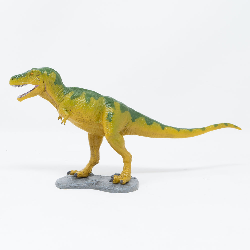 
                  
                    Load image into Gallery viewer, Tarbosaurus Soft Model
                  
                