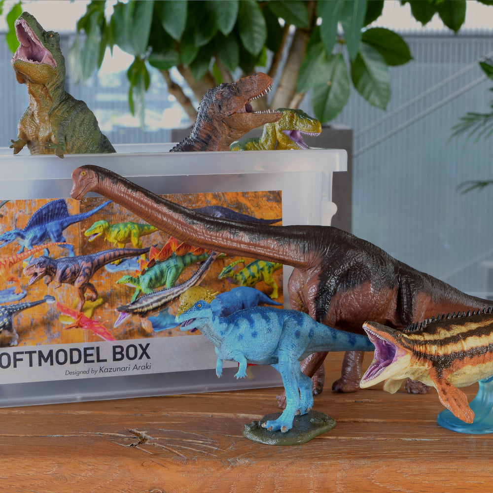 
                  
                    Load image into Gallery viewer, Dinosaur Soft Model Box_01
                  
                
