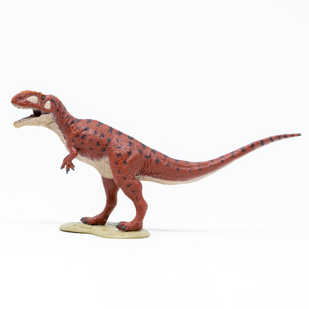 Favorite｜Giganotosaurus Soft Model – Favorite official website