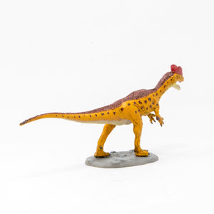 
                  
                    Load image into Gallery viewer, Dilophosaurus Soft Model
                  
                