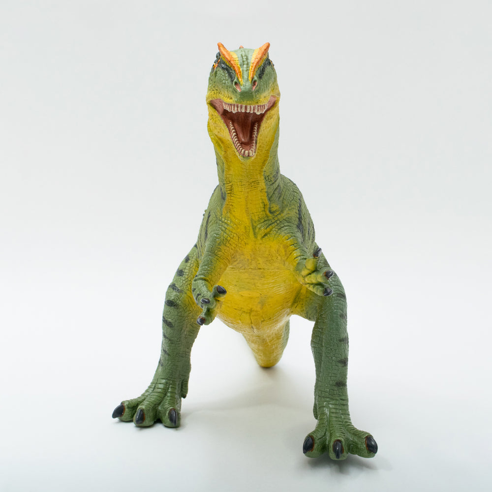 
                  
                    Load image into Gallery viewer, Allosaurus Vinyl Model Premium Edition 
                  
                