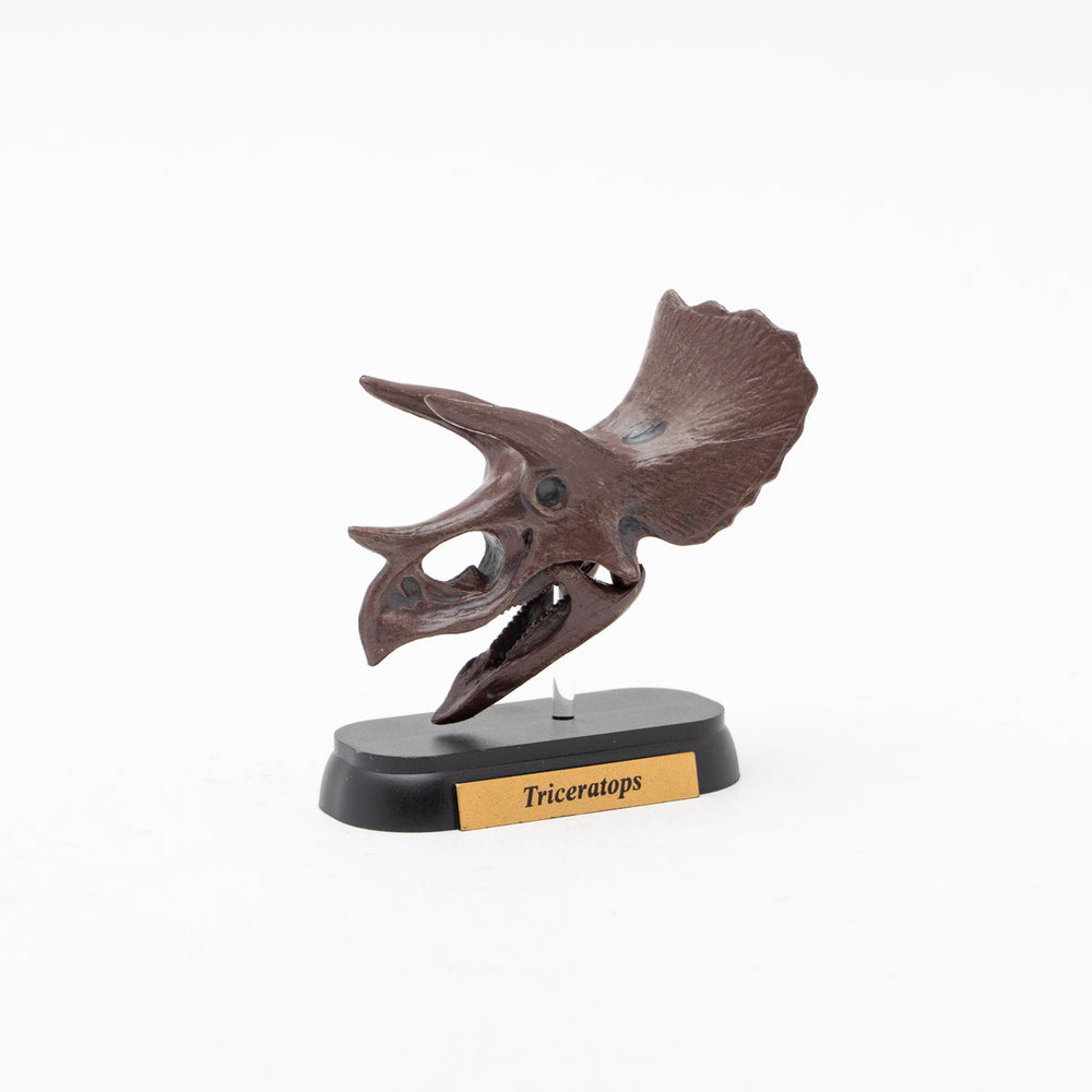 
                  
                    Load image into Gallery viewer, Triceratops Skull Mini Model
                  
                
