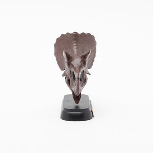 
                  
                    Load image into Gallery viewer, Triceratops Skull Mini Model
                  
                