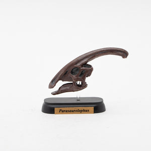 
                  
                    Load image into Gallery viewer, Parasaurolophus Skull Mini Model
                  
                
