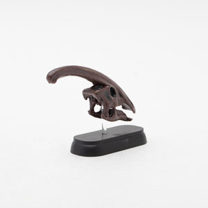 
                  
                    Load image into Gallery viewer, Parasaurolophus Skull Mini Model
                  
                