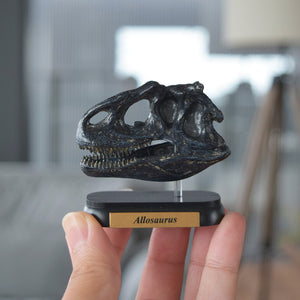 
                  
                    Load image into Gallery viewer, Allosaurus Skull Mini Model
                  
                