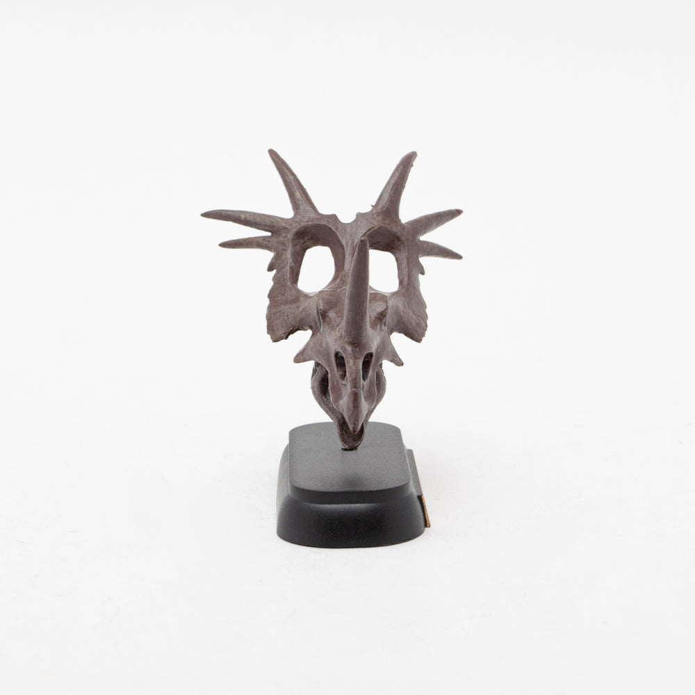 
                  
                    Load image into Gallery viewer, Styracosaurus Skull Mini Model
                  
                