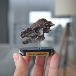 
                  
                    Load image into Gallery viewer, Pachycephalosaurus Skull Mini Model
                  
                