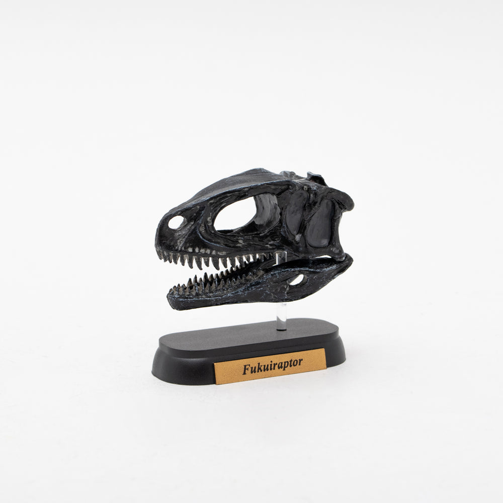 Fukuiraptor Skull Mini Model