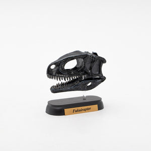 
                  
                    Load image into Gallery viewer, Fukuiraptor Skull Mini Model
                  
                