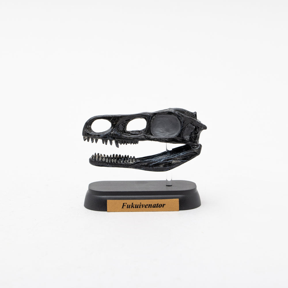 
                  
                    Load image into Gallery viewer, Fukuivenator Skull Mini Model
                  
                