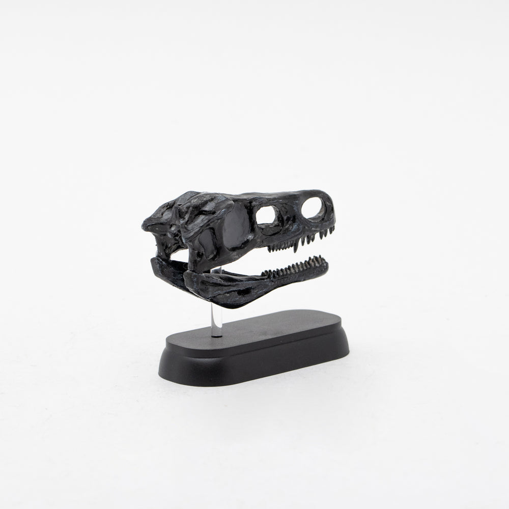 
                  
                    Load image into Gallery viewer, Fukuivenator Skull Mini Model
                  
                
