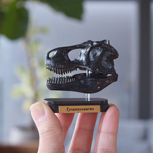 
                  
                    Load image into Gallery viewer, Dinosaur Skull Mini Model Set
                  
                