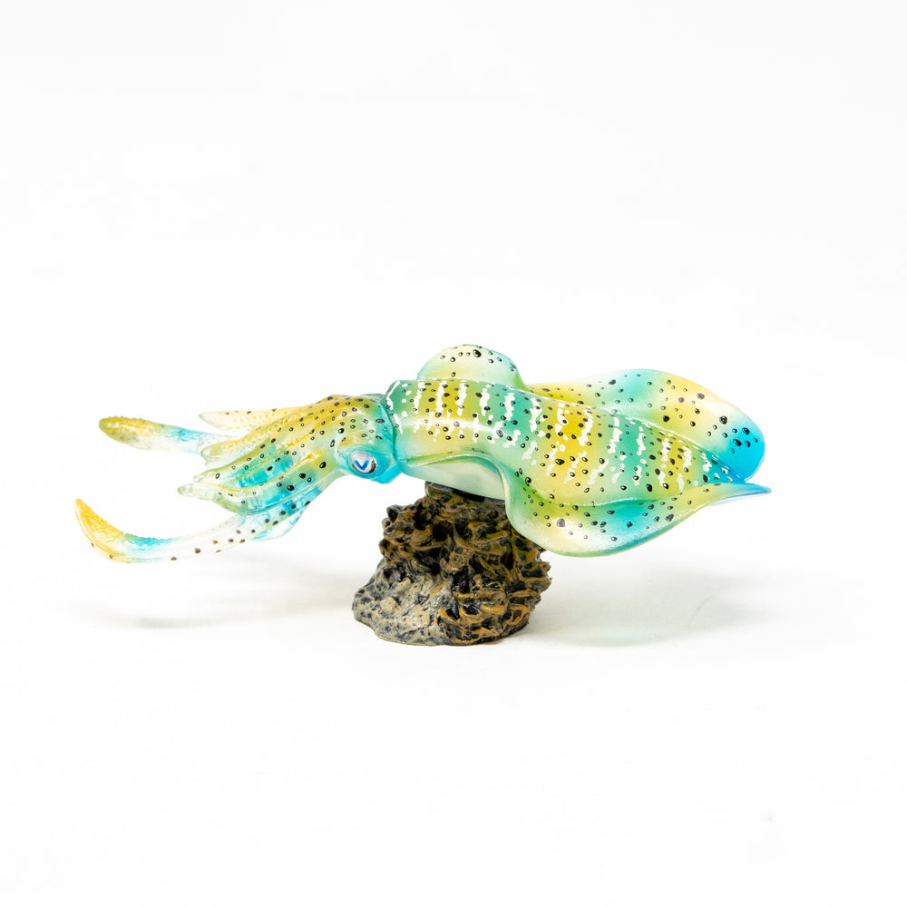 
                  
                    Load image into Gallery viewer, Bigfin Reef Squid Mini Model
                  
                