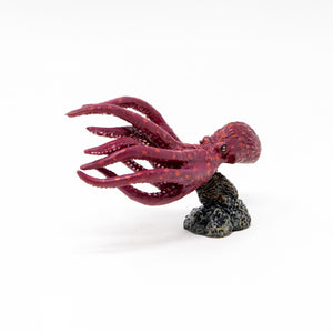 
                  
                    Load image into Gallery viewer, North Pacific Giant Octopus Mini Model
                  
                