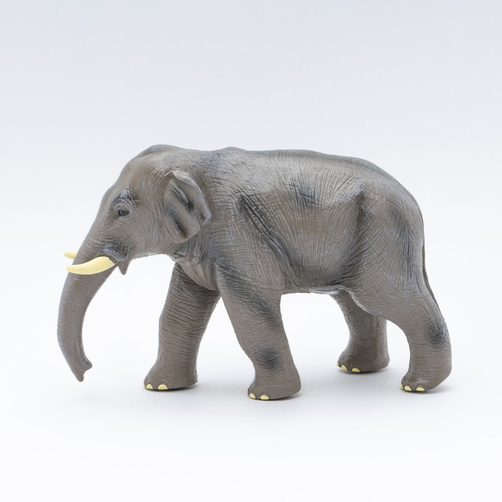 
                  
                    Load image into Gallery viewer, Asian Elephant Vinyl Model
                  
                