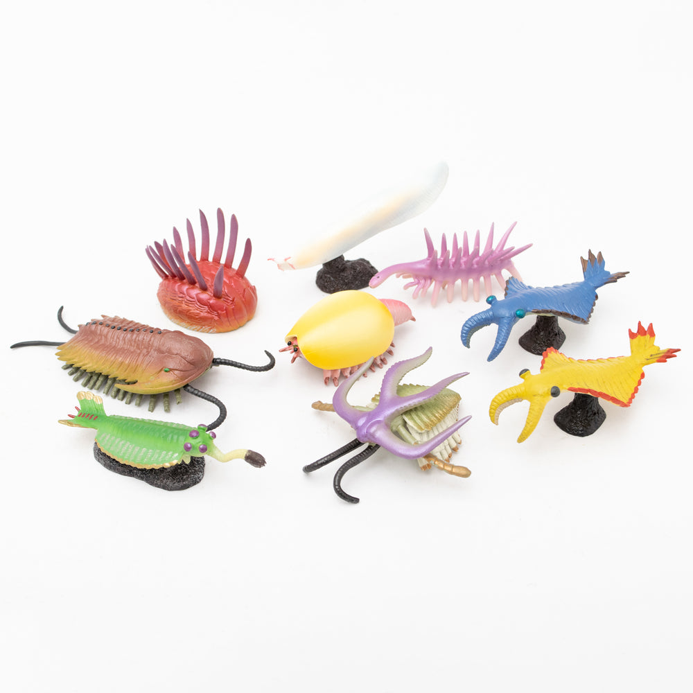 
                  
                    Load image into Gallery viewer, Cambrian Creatures Mini Model Set
                  
                