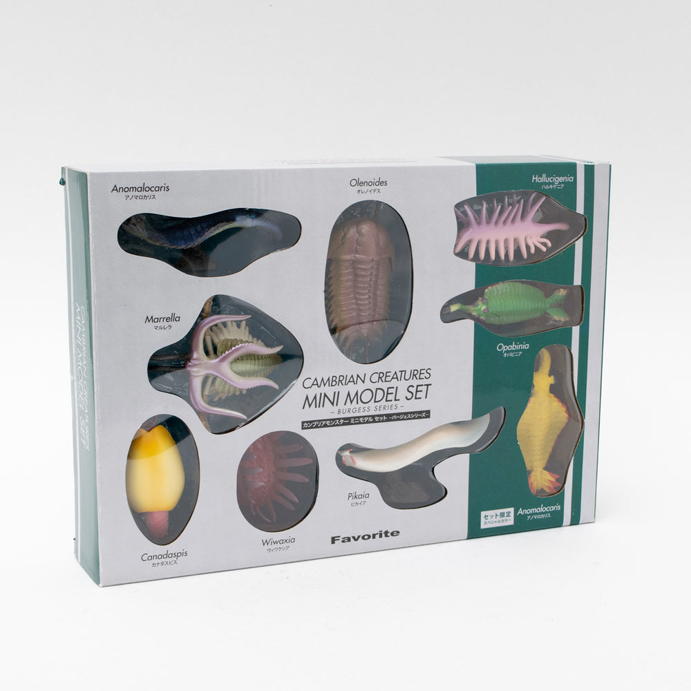 
                  
                    Load image into Gallery viewer, Cambrian Creatures Mini Model Set
                  
                