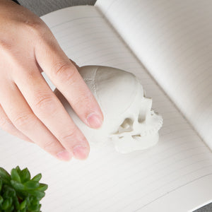 
                  
                    Load image into Gallery viewer, Hone-Keshi Human Skull White
                  
                