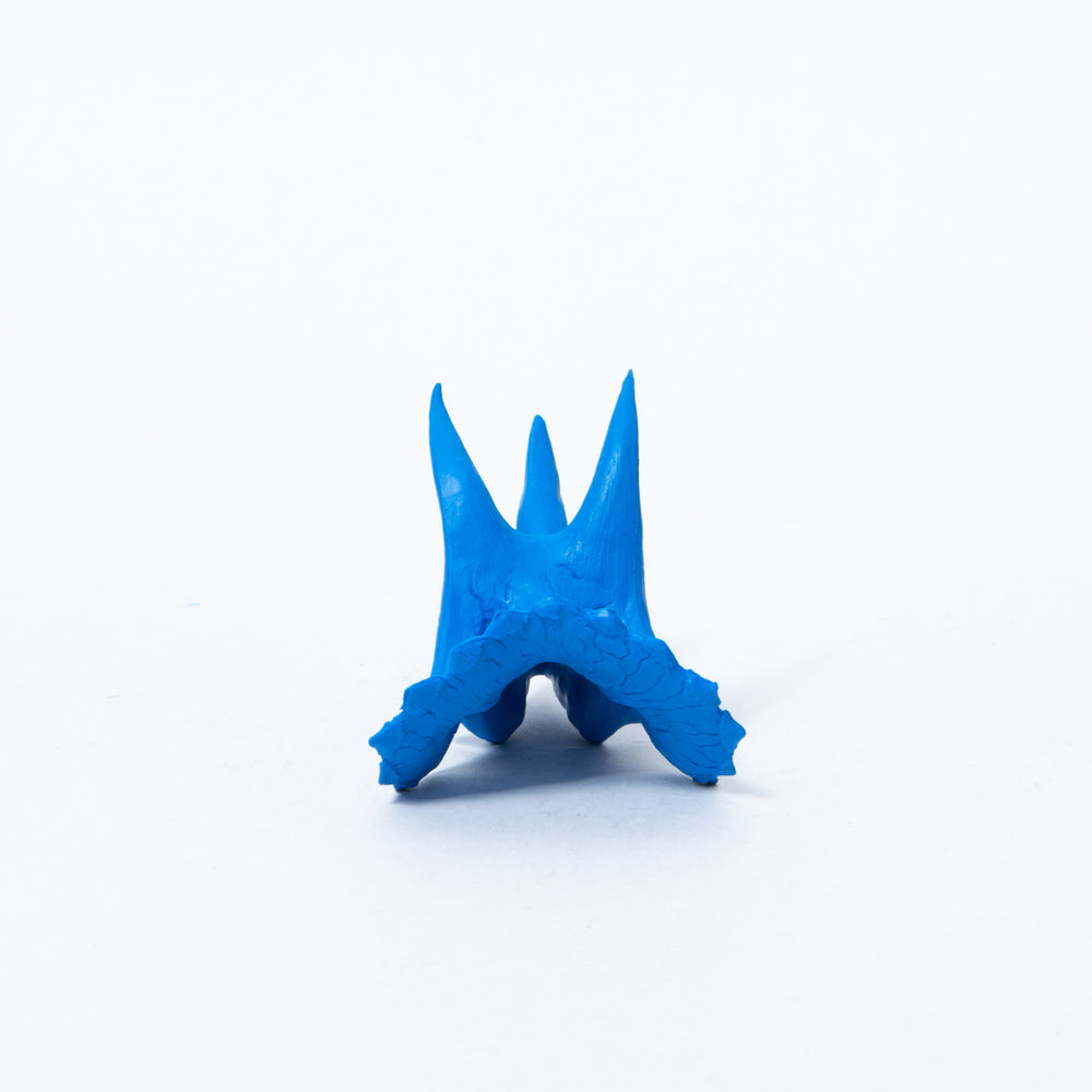 
                  
                    Load image into Gallery viewer, Hone-Keshi Triceratops Blue
                  
                